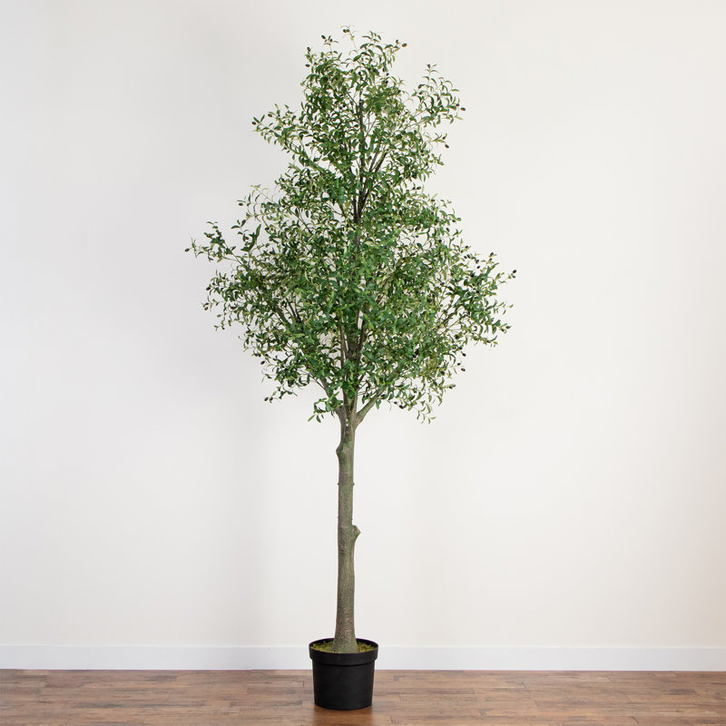 12 pi Olive artificielle géante