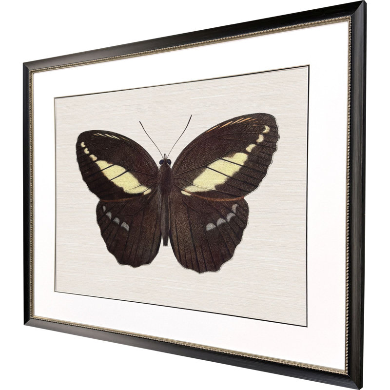 Garden Visitor IV Framed Art