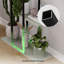 Plant Stand - Set of 6-597922294