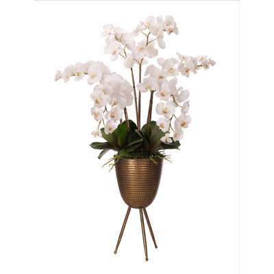 Orchid Phal, White, Metal Planter