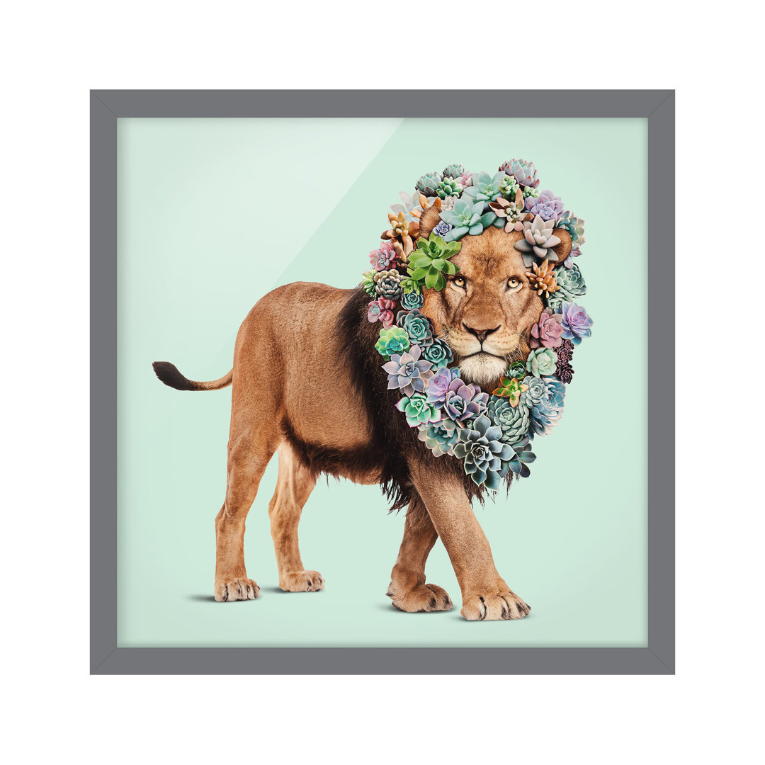 Gerahmter Grafikdruck Lion with Succulents von Jonas Loose