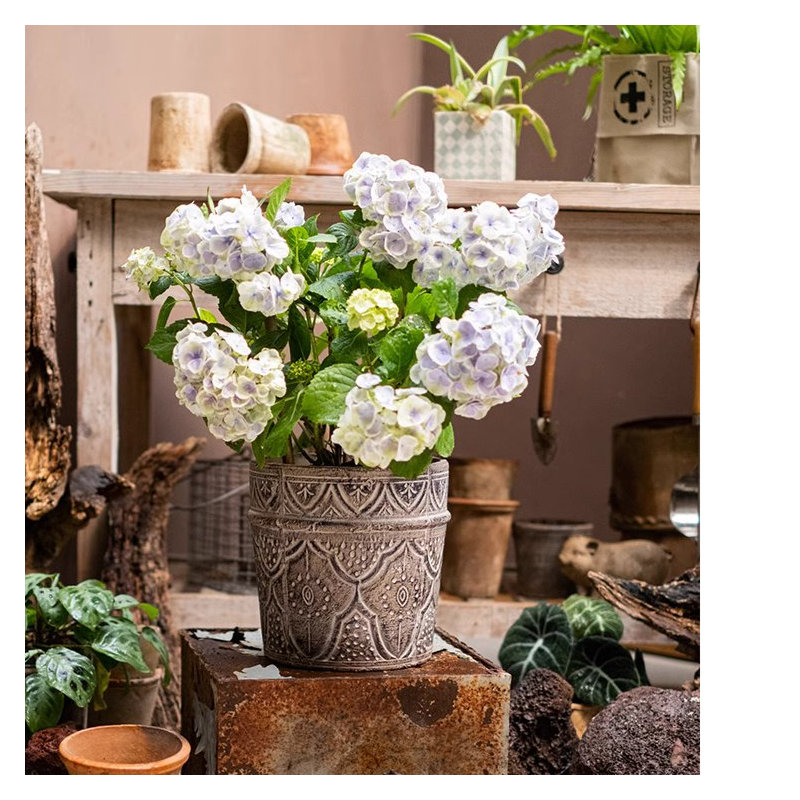 Jardinière Waltrude, H 6,89 po x l 7,28 po x P 7,28 po