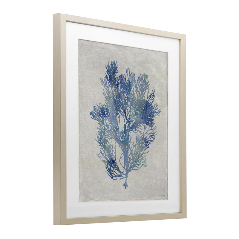 Blue Bushed Seaweed, reproduction sous verre encadrée par Amber Sterling, H 21 po x l 17 po, Cadre de récolte en pin
