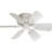 Meira Ceiling Fan