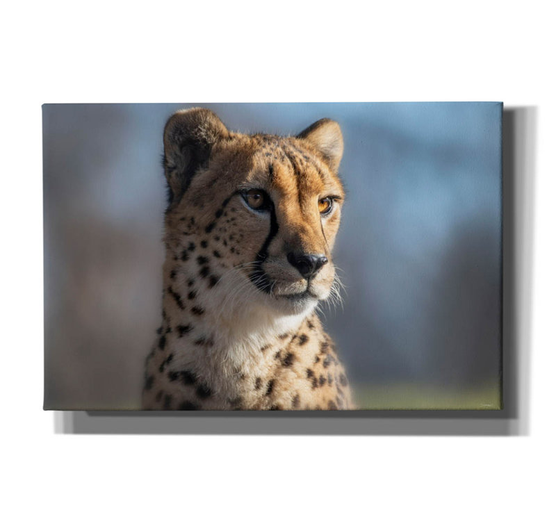 «Cheetah 1» par Gordon Semmens, art mural sur toile, H 12 po x l 18 po x P 0,75 po