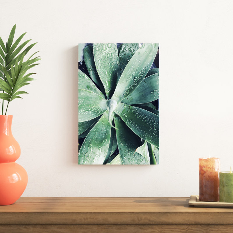 Vert succulent tropical vert III, H 12 po x l 18 po x P 1,25 po