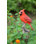 Animals Weather Resistant Water Resistant UV Resistant Polyresin Garden Statue