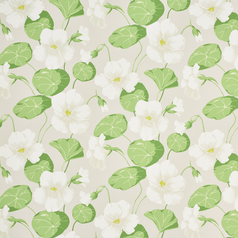 Nasturtium Wallpaper, Stone
