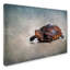 «Box Turtle Portrait» par Vidur, impression sur toile tendue-22074426