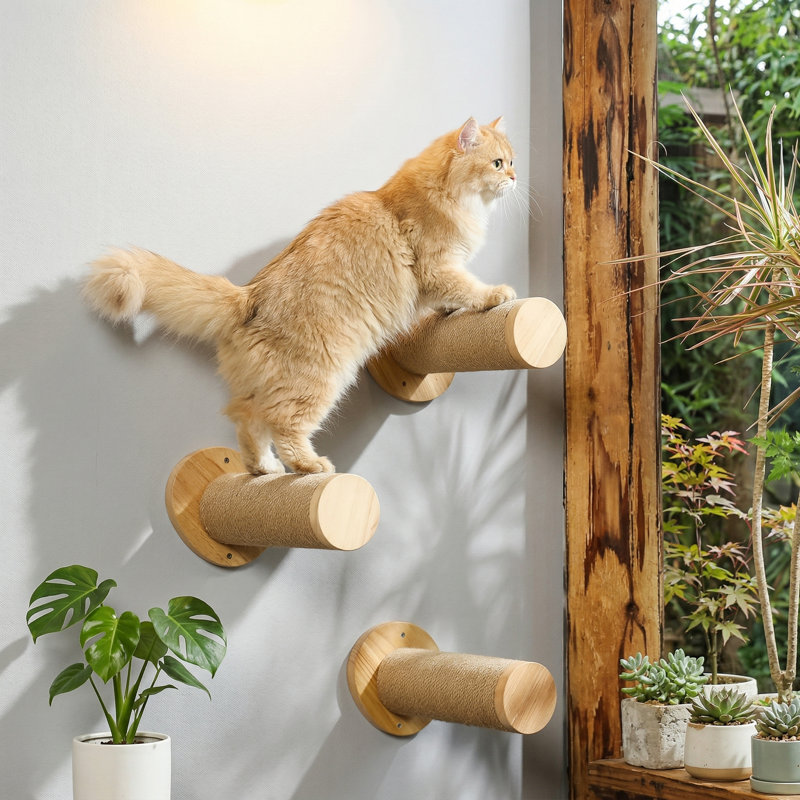 Paquet de 2 marches en bois de noyer pour chat, tablettes flottantes 11,8 po avec surface de grattage en jute, pour chatons, fixation murale