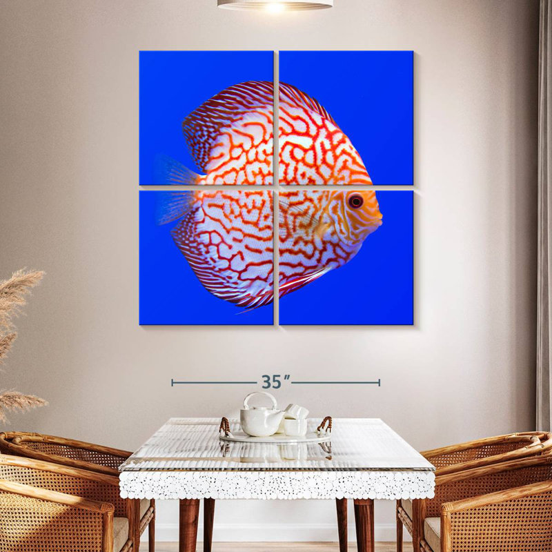Brampt Exotic Discus Fish, 45" H x 45" W