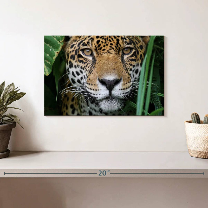 Jaguar de la jungle amazonienne Brampt, H 8 po x l 12 po