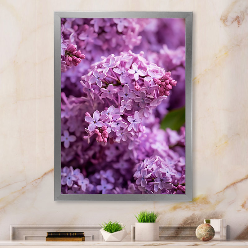 «Lilac mauve», reproduction sur toile, H 32 po x l 24 po x P 1 po, Cadre simple argenté