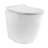 St. Tropez Back-To-Wall Toilet Bundle 0.8/1.6 GPF Dual Flush With Flush Plate-108927913