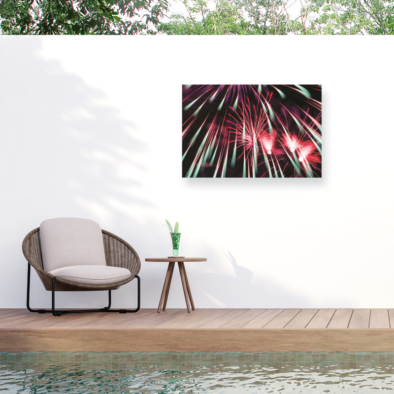Feux d'artifice abstrait bolologique 2020 3, H 30 po x l 47 po