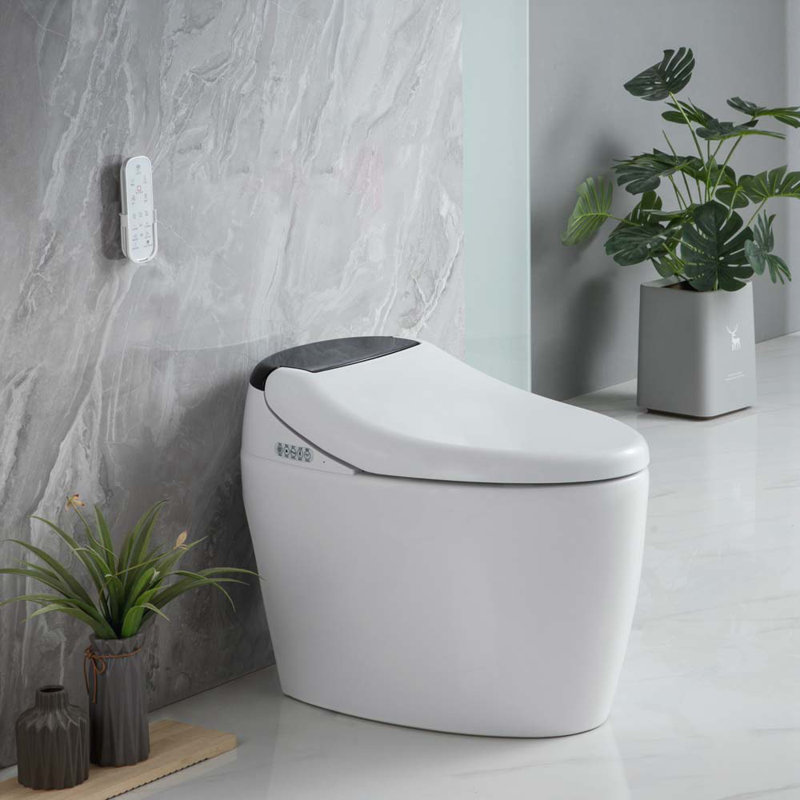 Toilette allongée pour bidet Tusuton 1,28 GPF (siège inclus)