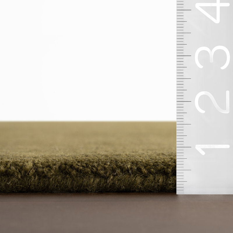 Gania Modern Green Rug, Rectangle 4' x 6'