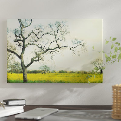 Reproduction de photo sur toile