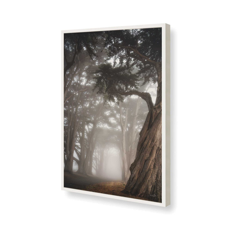 «Cypress Dreams» par Martin Podt, reproduction d'art, L 24 po x H 36 po, Framed Print, White