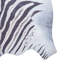 Calandra Faux Zebra Print area rug Printed Animal Skin Black-22703331