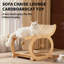 Chaise longue en bois de sisal pour chat, lit à griffer pour chat 2-en-1 avec boules de jouets suspendues et tablette de rangement