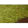 Tapis vert area Baptista