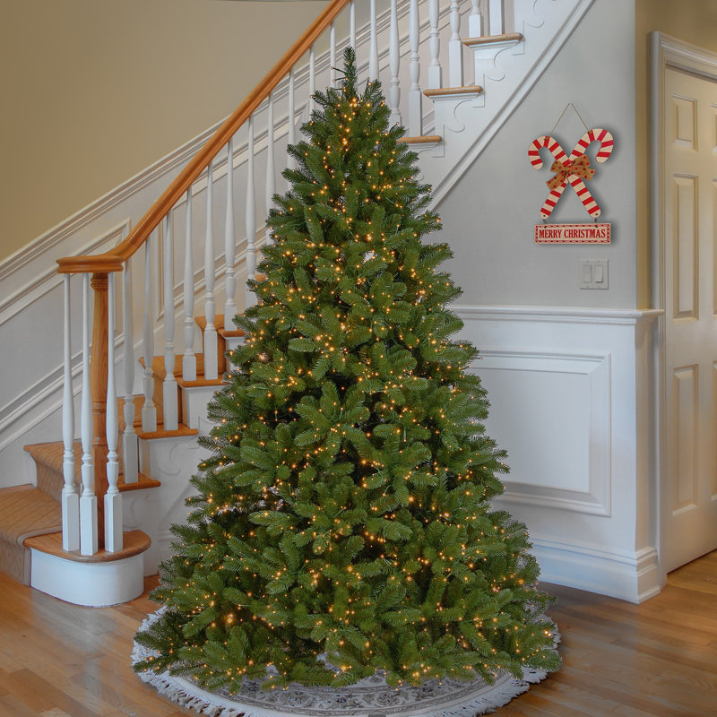 7.5 ft. Downswept Douglas Fir Tree with Dual Color® LED Cosmic Lights®