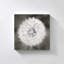 "Dandelion Seedhead" par Alan Majchrowicz, reproduction sur toile-667906491