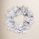 The Twillery Co.® Odaniel 60" Frosted Wreath