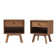 Bradgate 1-Drawer Nightstands with Storage Cubby