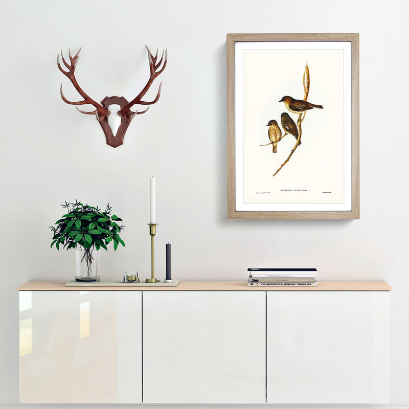 Dusky Robin by Elizabeth Gould - Picture Frame Painting Print, 48cm H x 36cm W x 2cm D, Oak Framed