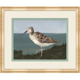 Sea Bird 2 Print