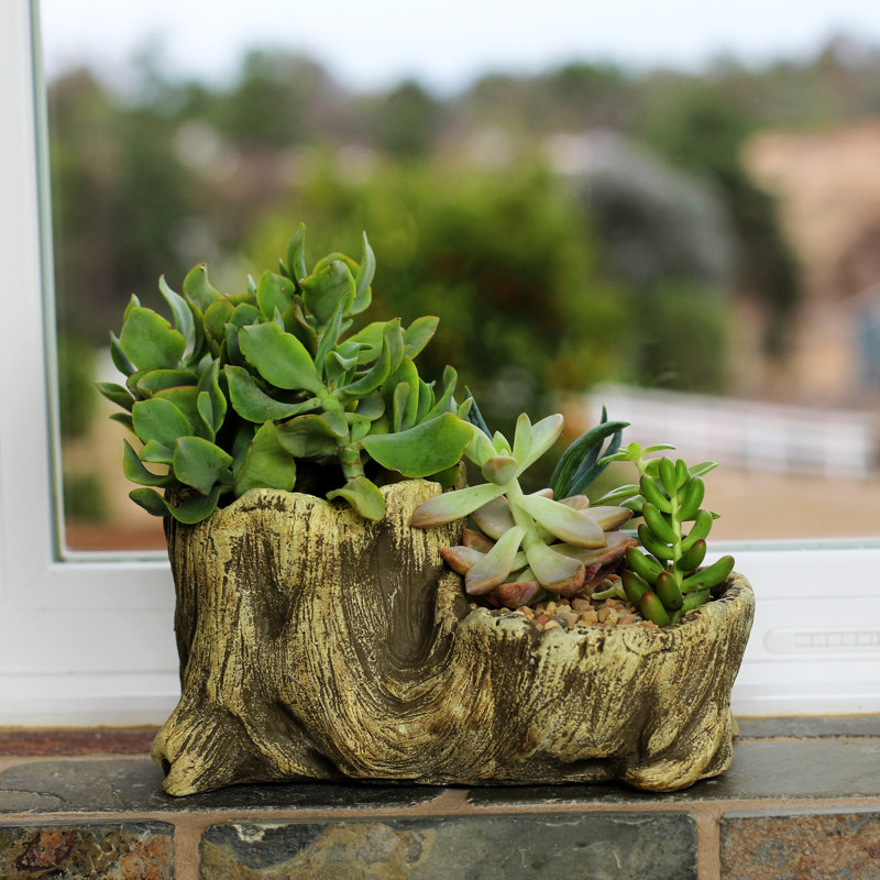 Kelm Ceramic Statue Planter, Brown