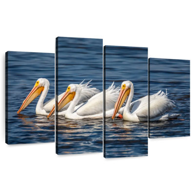 Bramic Ding Darling White Pelicans