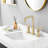 2-Handle Brass Bathroom Sink Faucet with Swivel Spout