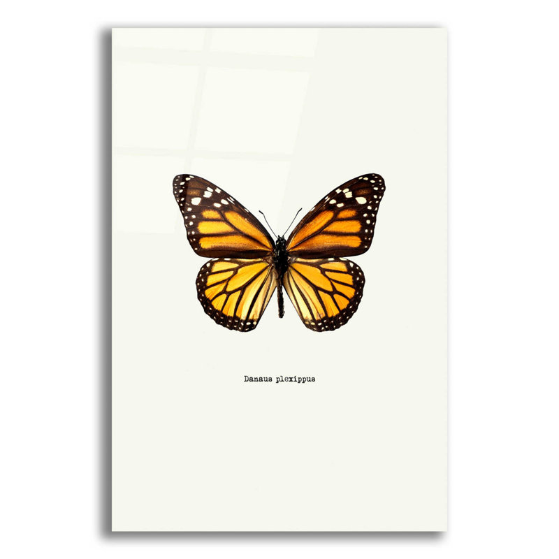 «Yellow Butterfly» par Graphinc, impression non encadrée, H 16 po x l 12 po x P 0,13 po