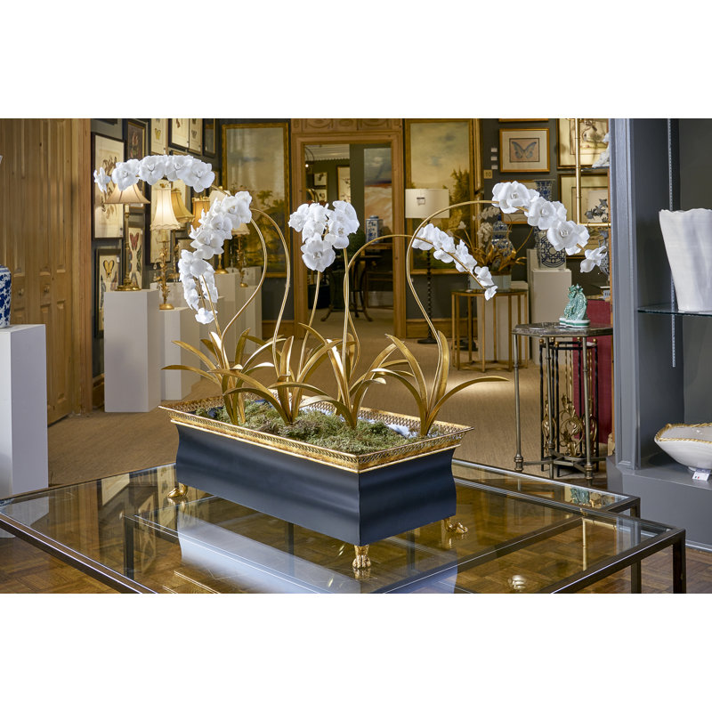 Tulip Orchid Stem, 21.75" H x 11" W x 12" D