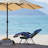 Hendon Outdoor Metal Chaise Lounge with Table , Cushion Included-477337359-524419723