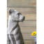 Statue Laprade