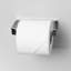 Theme Toilet Paper Holder - Wall Mount - 6" Brass/Polished Chrome