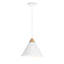 Daya 1 - Light Pendant by Renwil