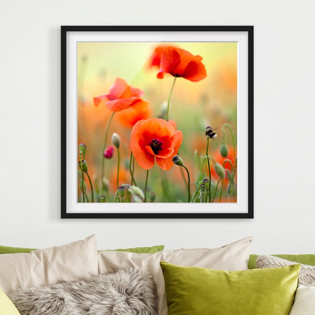 Gerahmter Fotodruck Red Summer Poppy