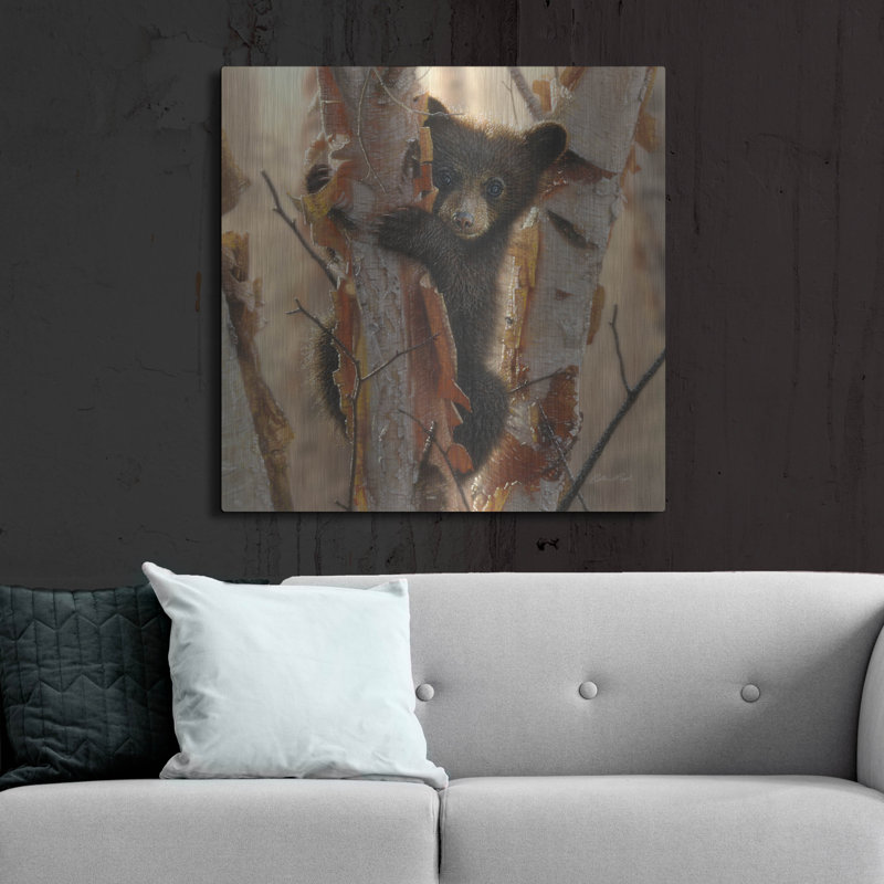 «Curious Cub II» par Collin Bogle, art mural en métal, 24 po x 24 po, H 36 po x l 36 po
