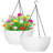 Hanging Planter-1286674574