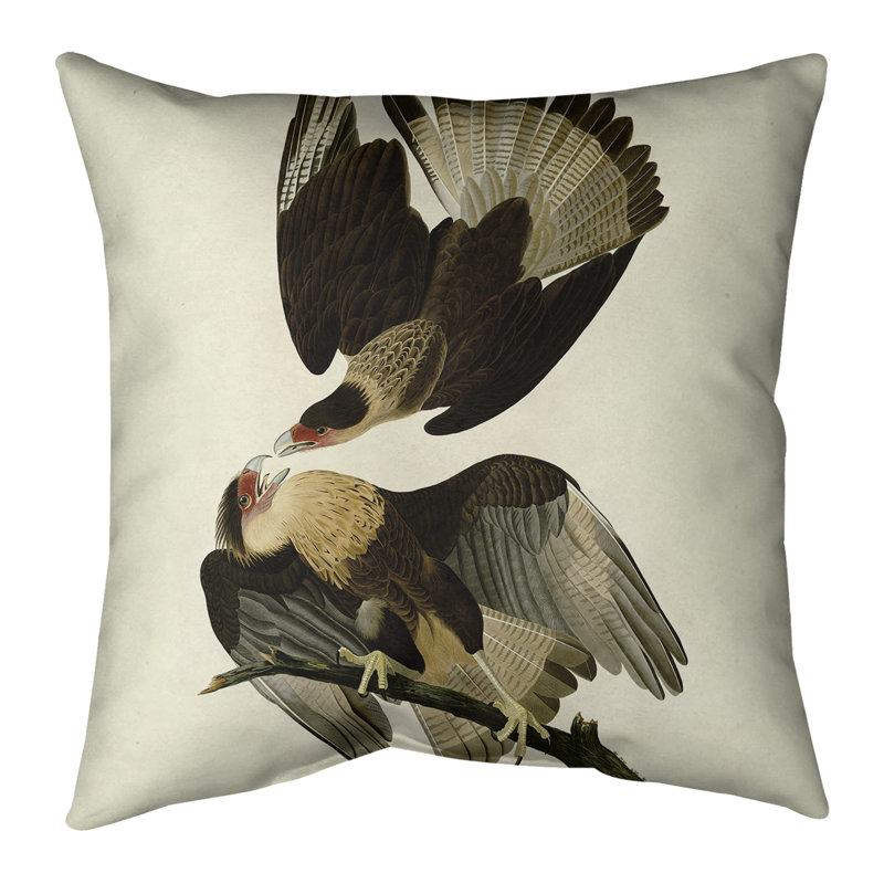 Housse et insert de coussin carré John John Audubon Caracara, 14 po x 14 po, Blanc cassé / brun, Bourre en polyester