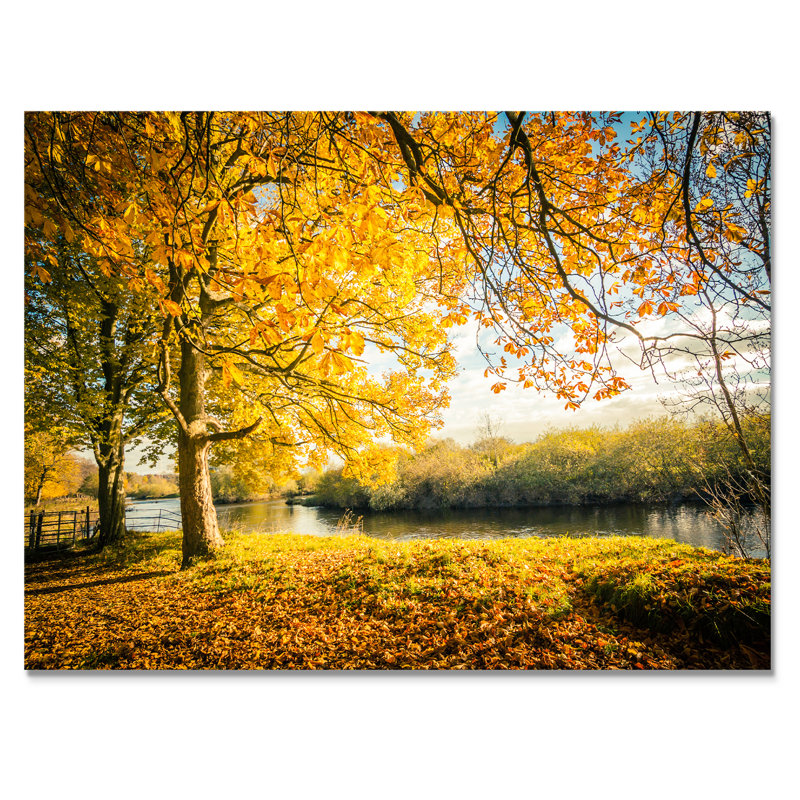 «Yellow Autumn Artistic Forest By The Lake III», œuvre d'art traditionnelle sur toile