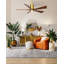 Patricia LED Downrod Ceiling Fan-328532545-328545089