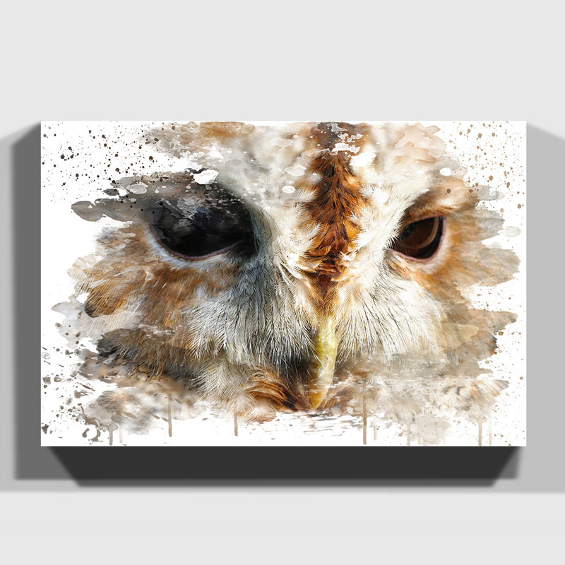 Barn Owl - Wall Art, 40cm H x 60cm W, Wrapped Canvas