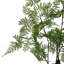 150cm Plant-2028658790