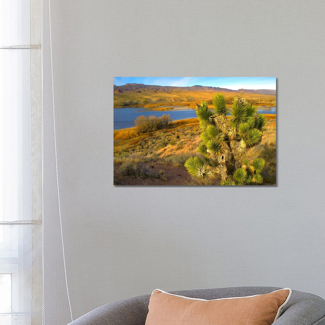 Joshua Tree And Wetlands Along The Pacific Flyway, Pahranagat National Wildlife Refuge, Nevada von Tim Fitzharris - Gall...